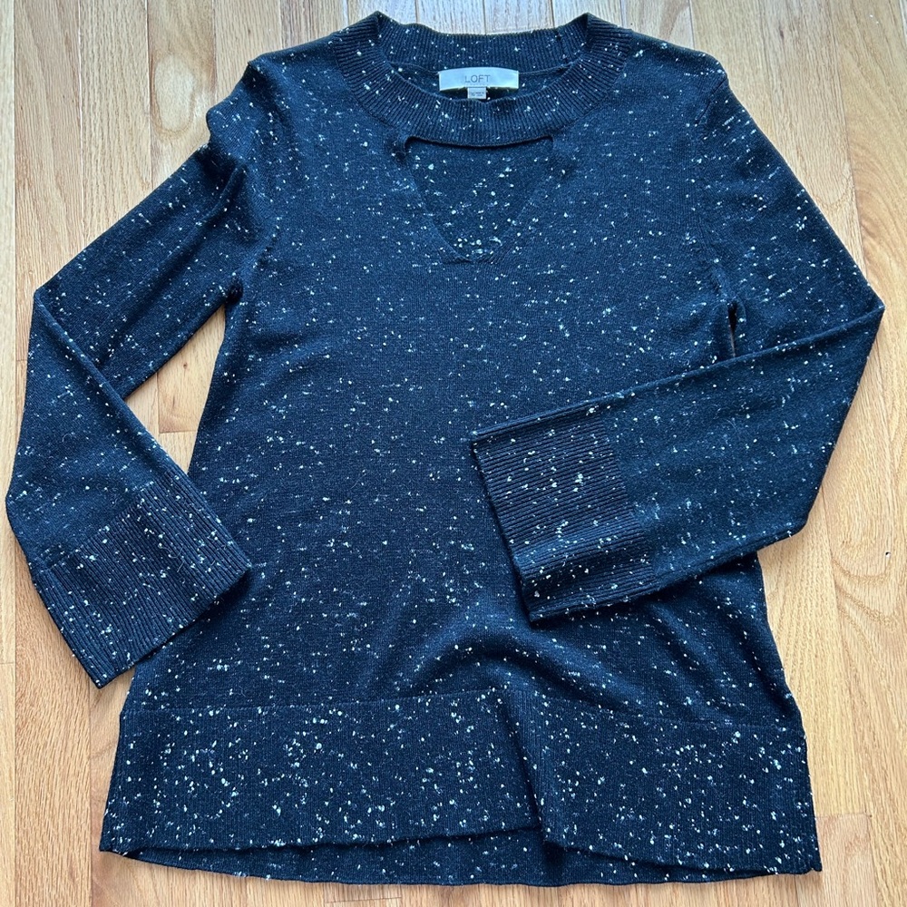 LOFT Sweater